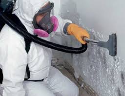 Why You Should Choose Our Mold Remediation Services in Crystal City, TX